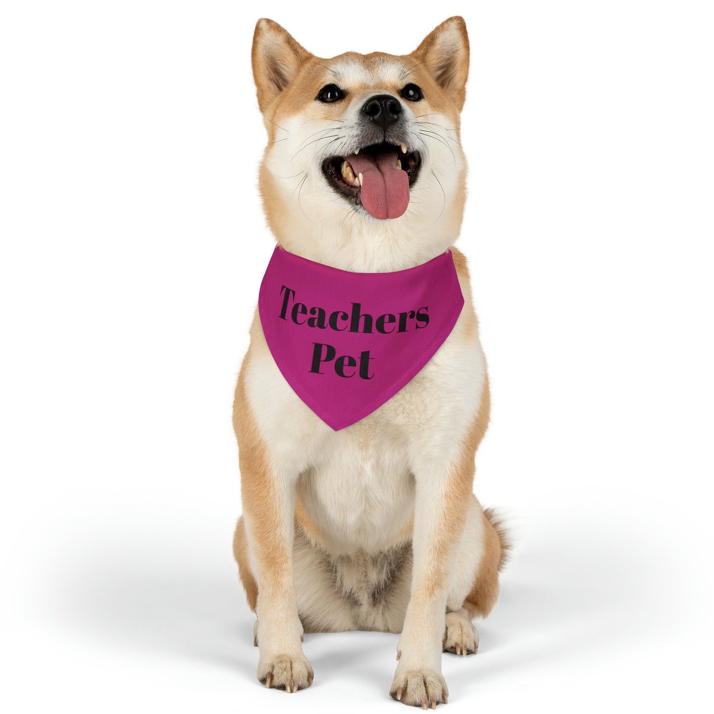 Pet Bandana Collar - Teachers Pet