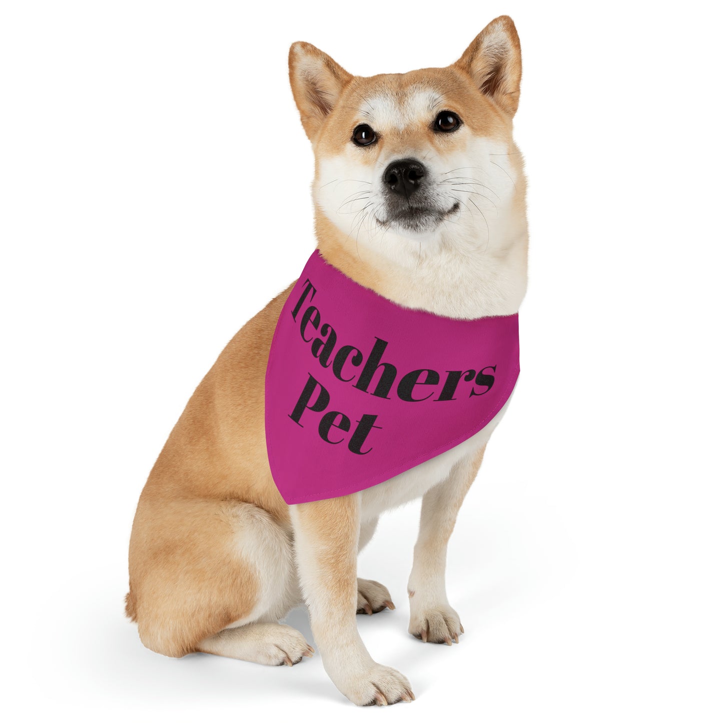 Pet Bandana Collar - Teachers Pet