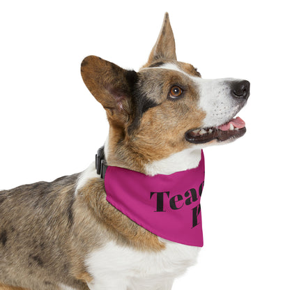 Pet Bandana Collar - Teachers Pet