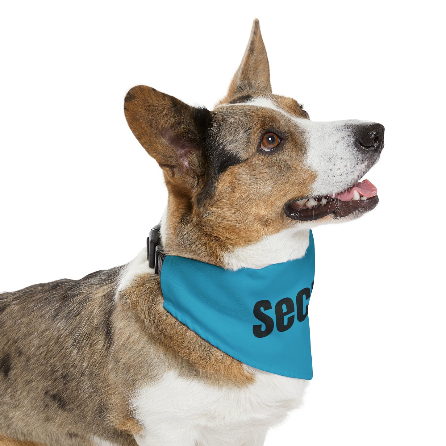 Copy of Pet Bandana Collar - Daddy Girl Dog