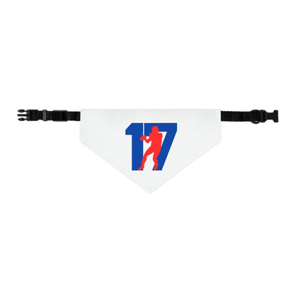 Pet Bandana Collar -17