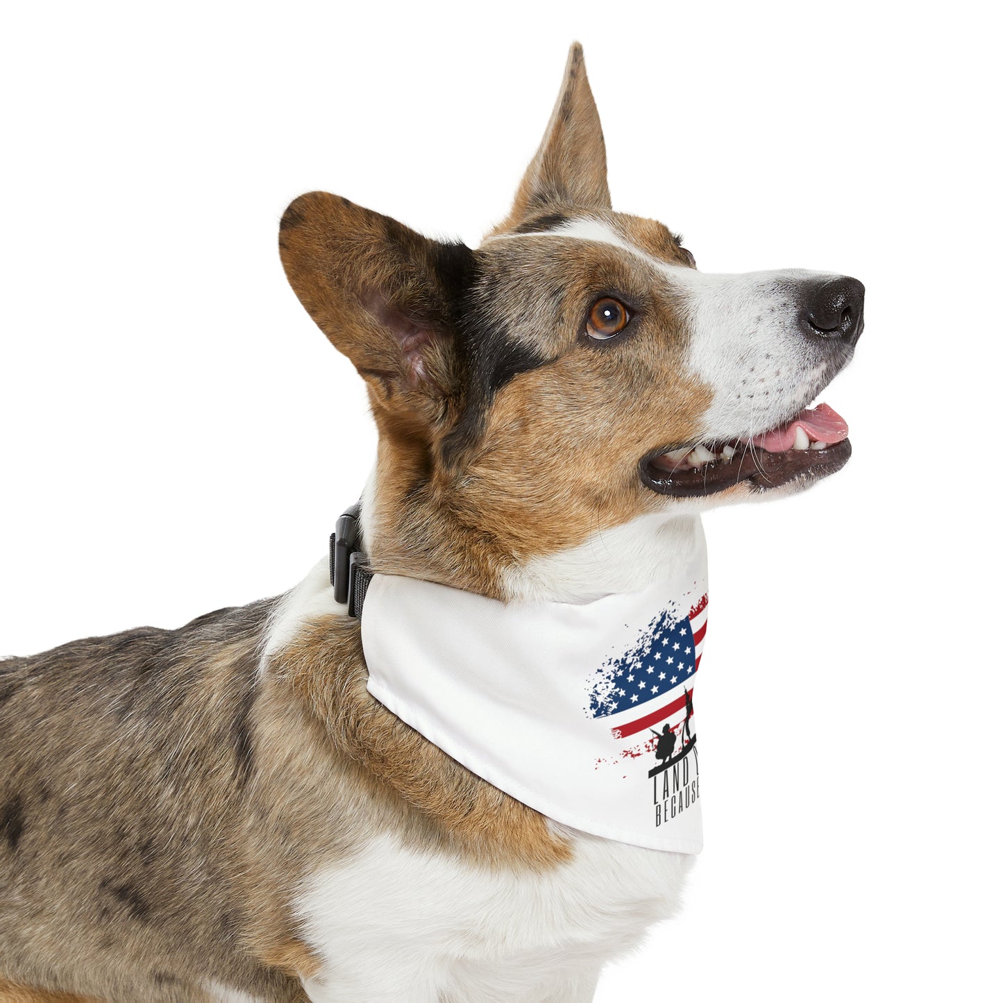 Pet Bandana Collar - Home Of the Free