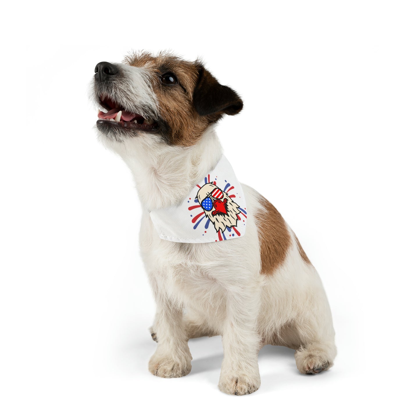 Pet Bandana Collar -Patriotic