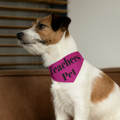 Pet Bandana Collar - Teachers Pet