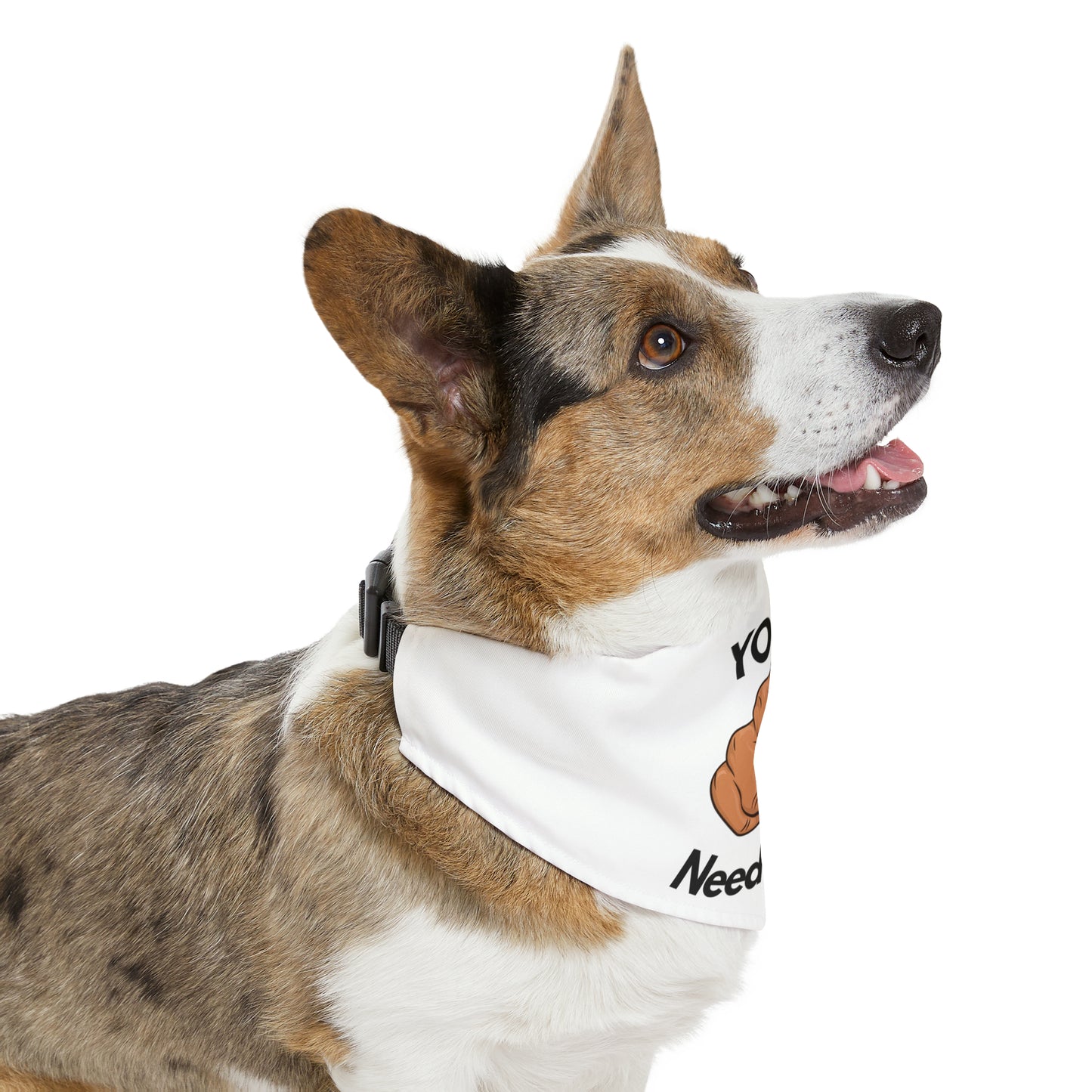 Pet Bandana Collar -Funny Beer